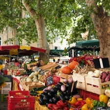 Ökomarkt Kollwitzplatz